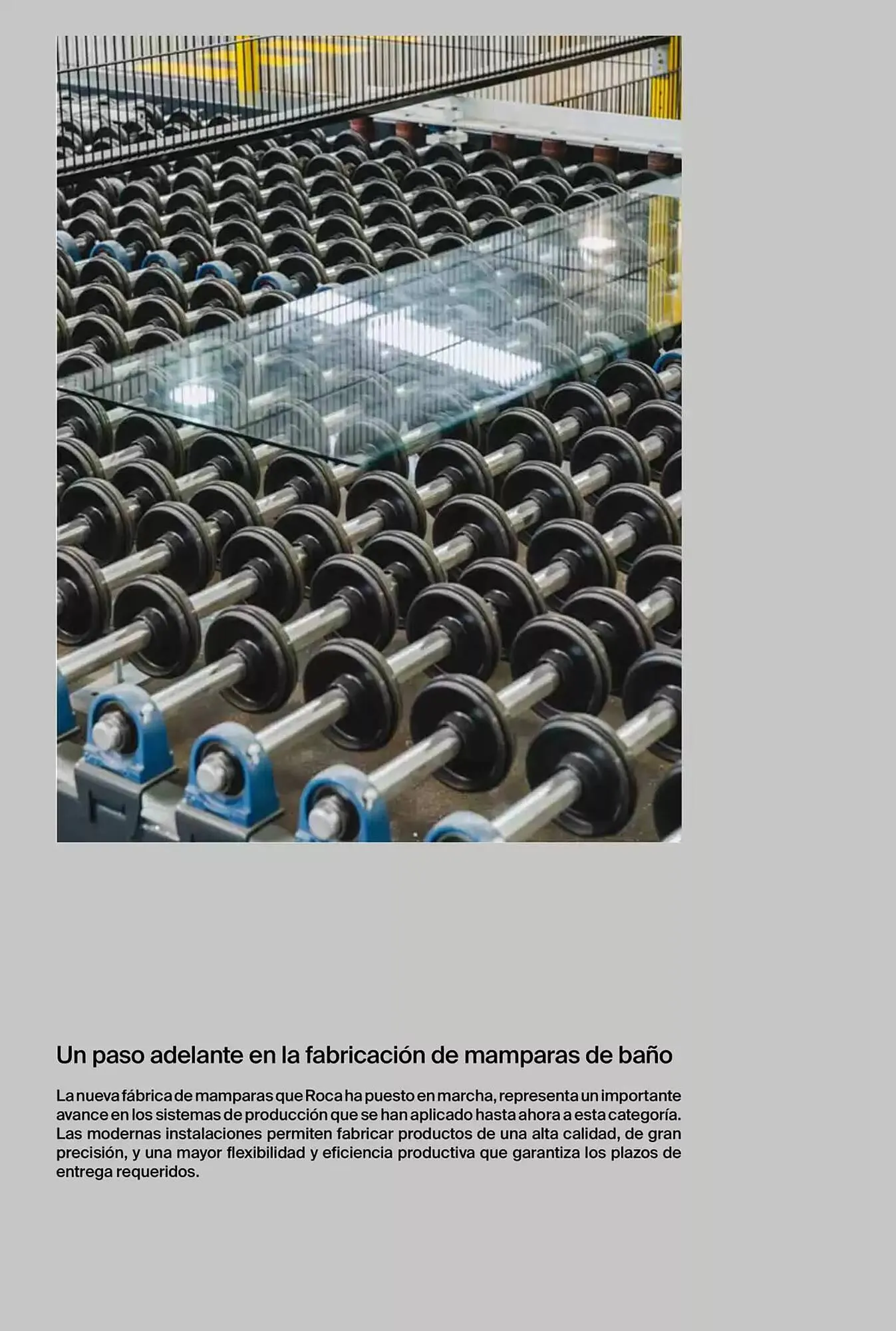 Catálogo de Folleto Roca 9 de enero al 31 de diciembre 2025 - Página 8