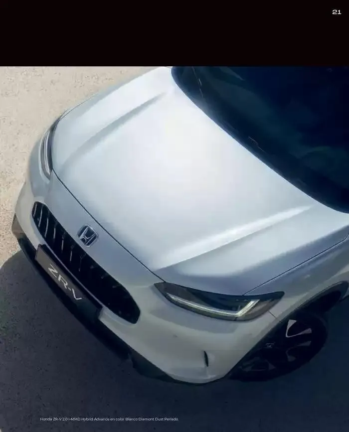 Catálogo de Catálogo ZR-V 6 de marzo al 30 de junio 2025 - Página 21