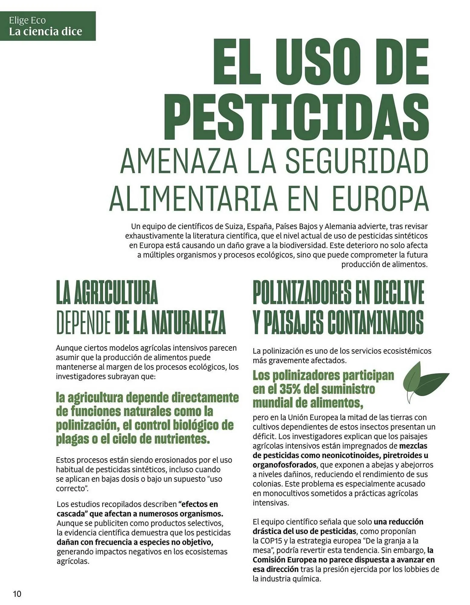 Catálogo de Catálogo Veritas 2 de febrero al 28 de febrero 2026 - Página 10