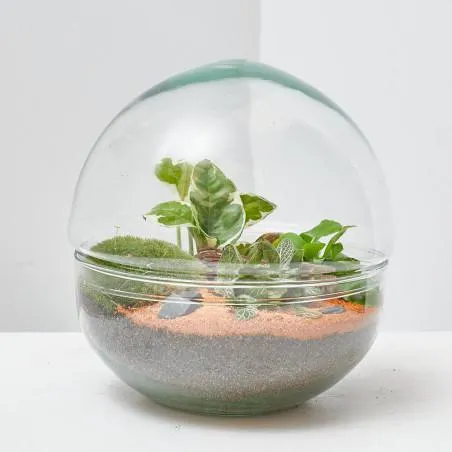 TERRARIO MINI MONDE M DIÁMETRO 20CM