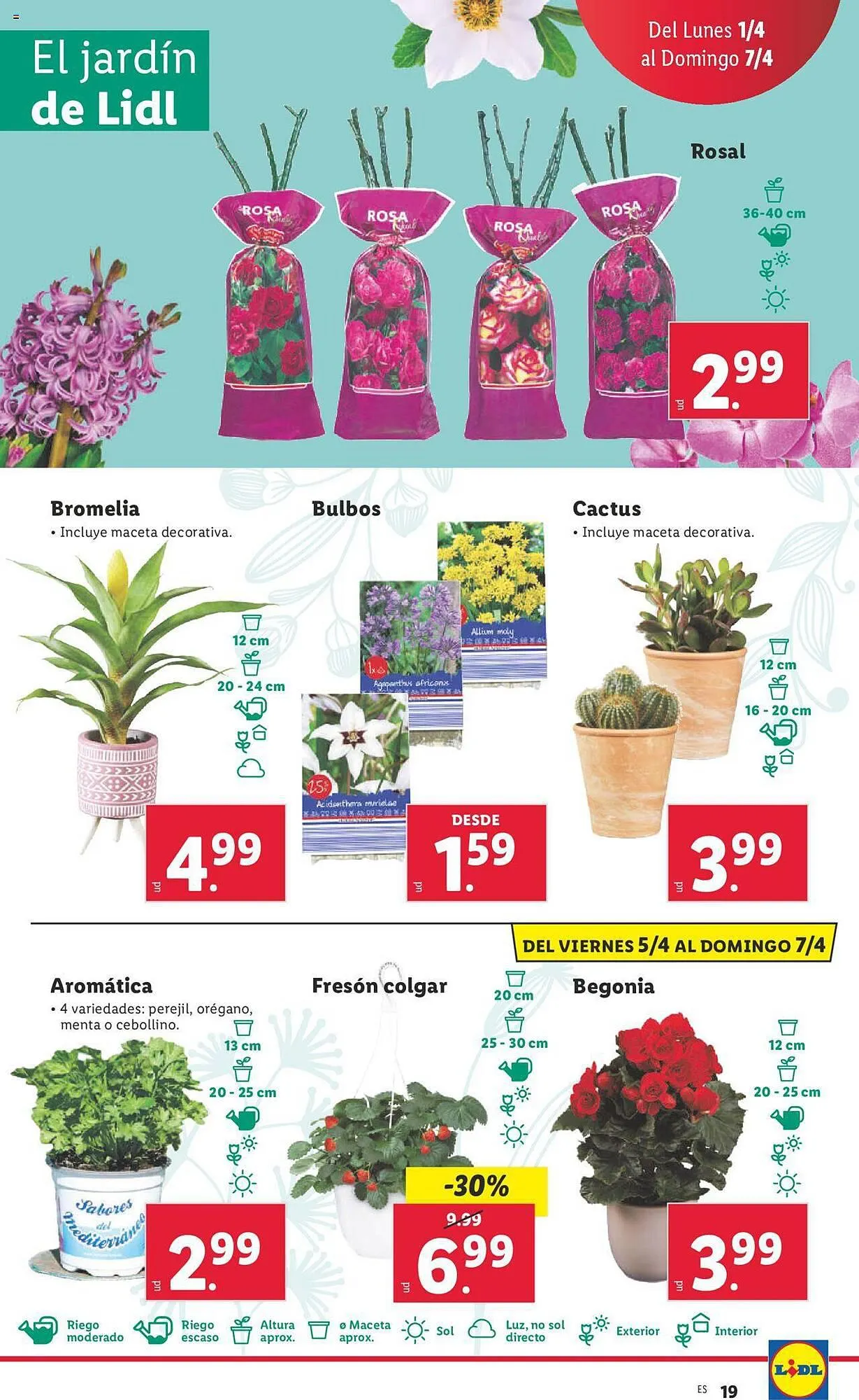 Catálogo de Folleto Lidl 1 de abril al 7 de abril 2024 - Página 19