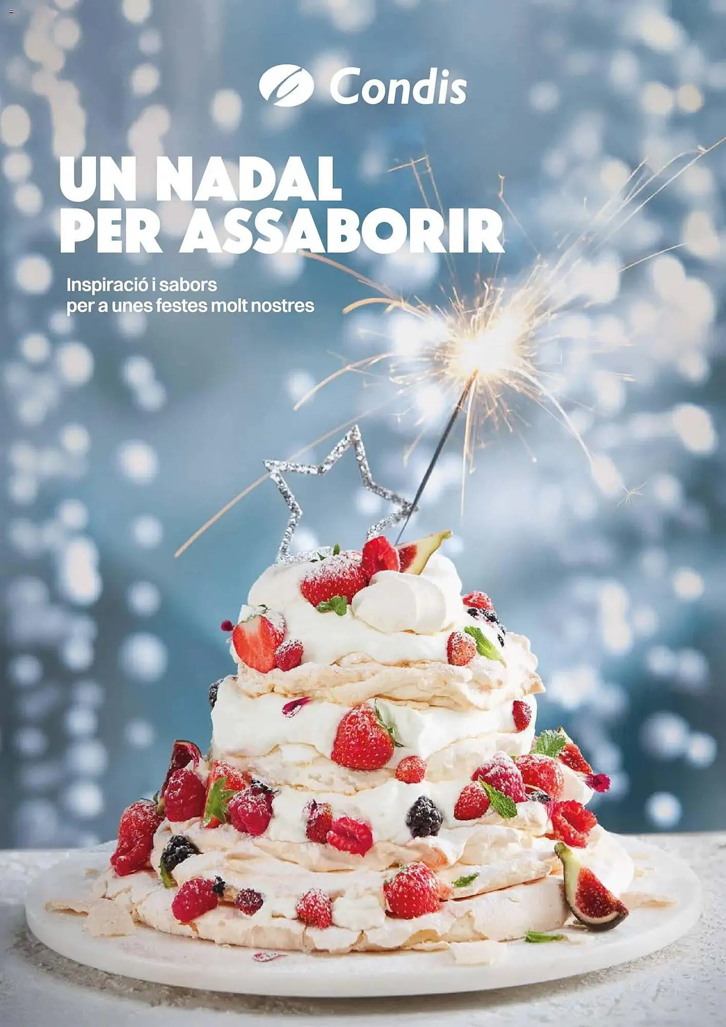 Catálogo Condis - 1