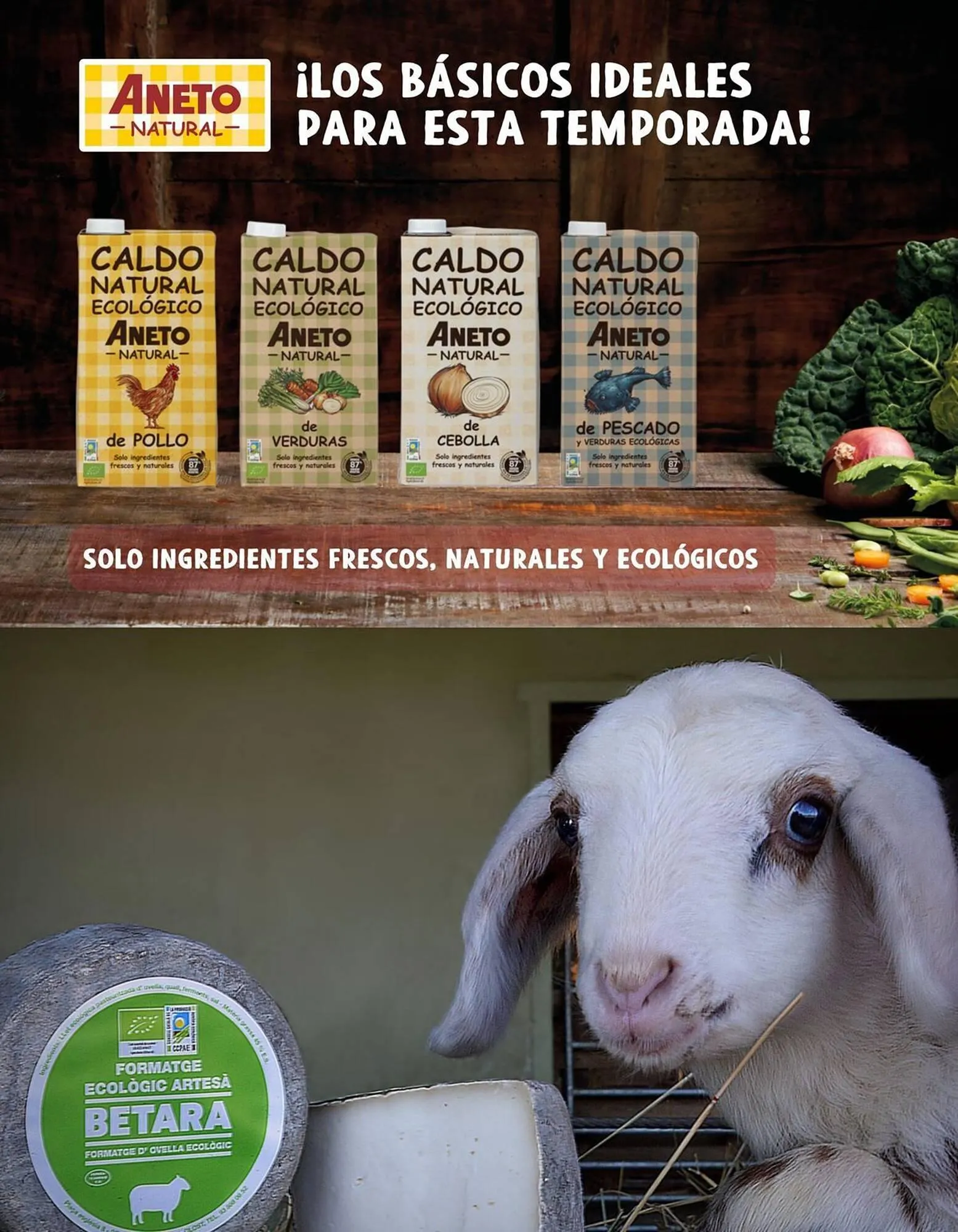 Catálogo de Catálogo Veritas 1 de noviembre al 30 de noviembre 2025 - Página 35