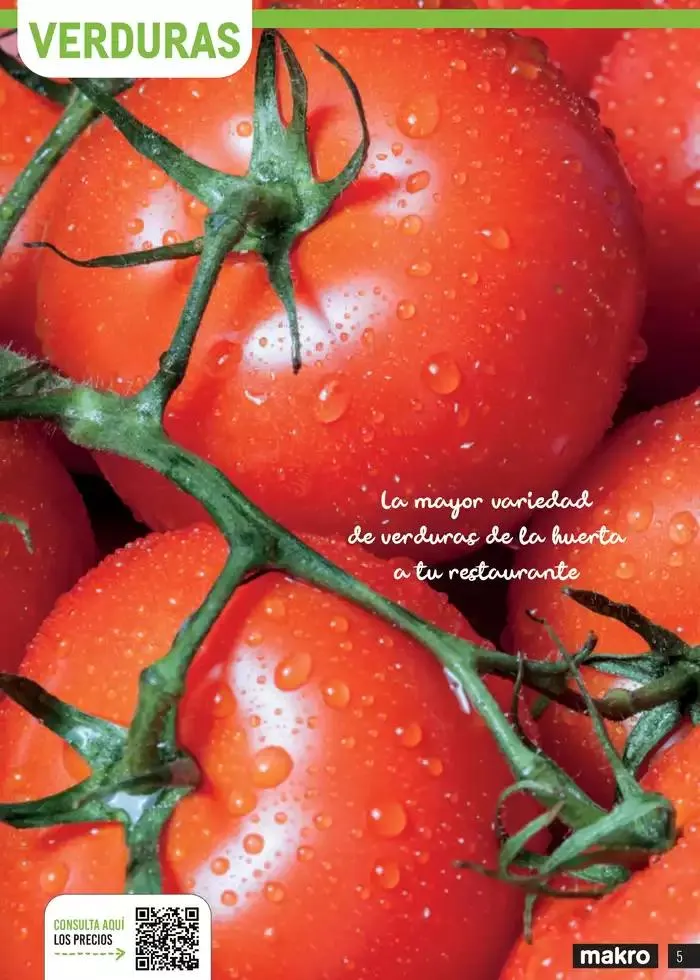 Catálogo de Frutas y verduras 8 de enero al 30 de junio 2025 - Página 5