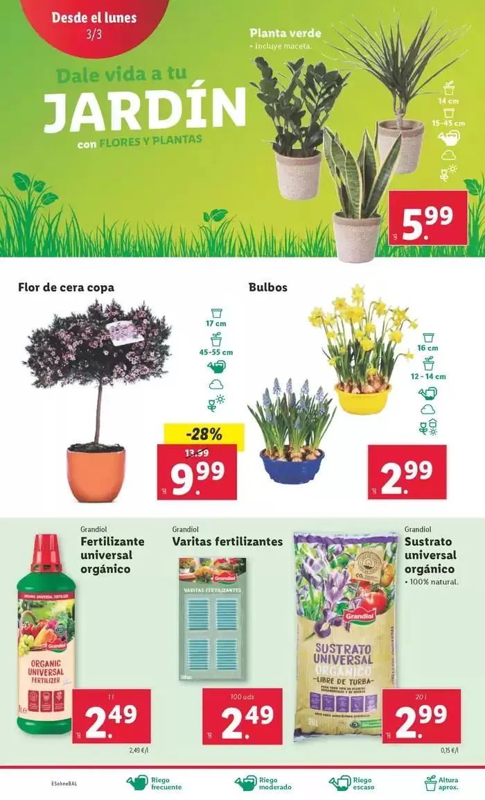 Catálogo de ¡Bazar Lidl! Ofertas válidas del 03/03 al 09/03 3 de marzo al 9 de marzo 2025 - Página 8