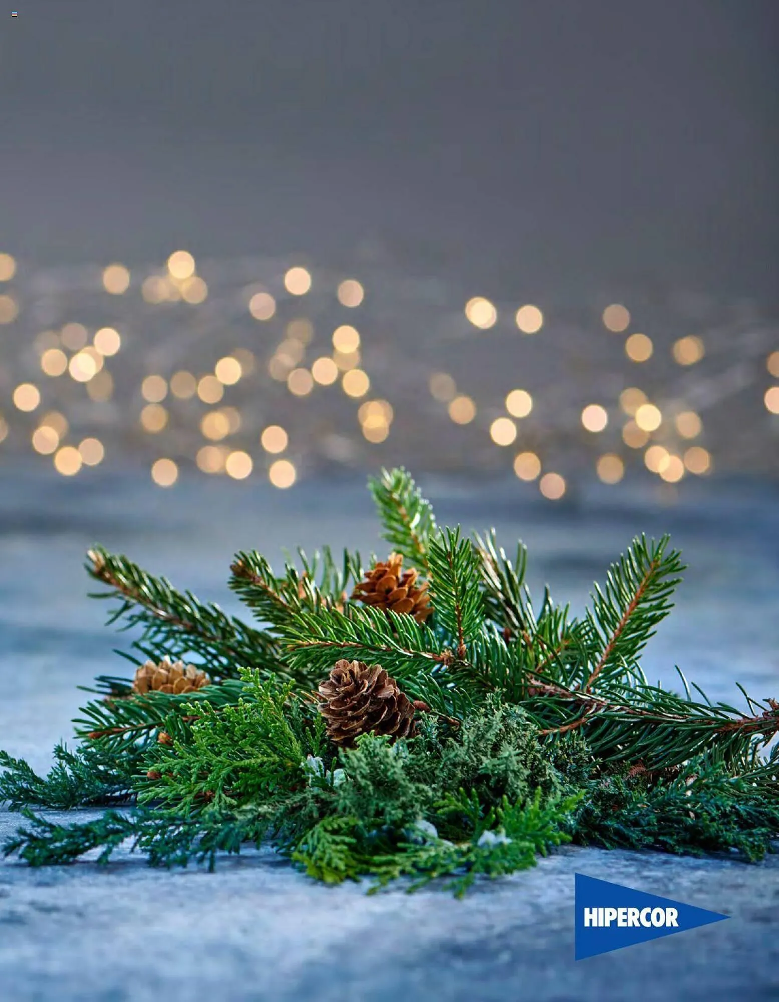 Catálogo de Folleto Hipercor 1 de noviembre al 5 de enero 2024 - Página 3