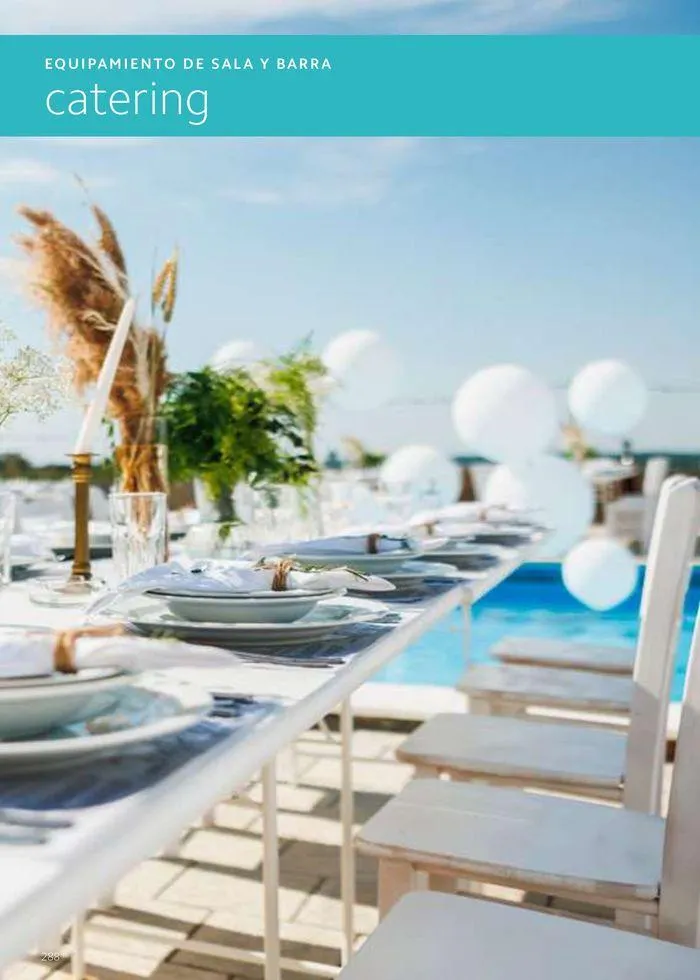 Catálogo de Equipamiento y suministros 23 de julio al 30 de noviembre 2024 - Página 288