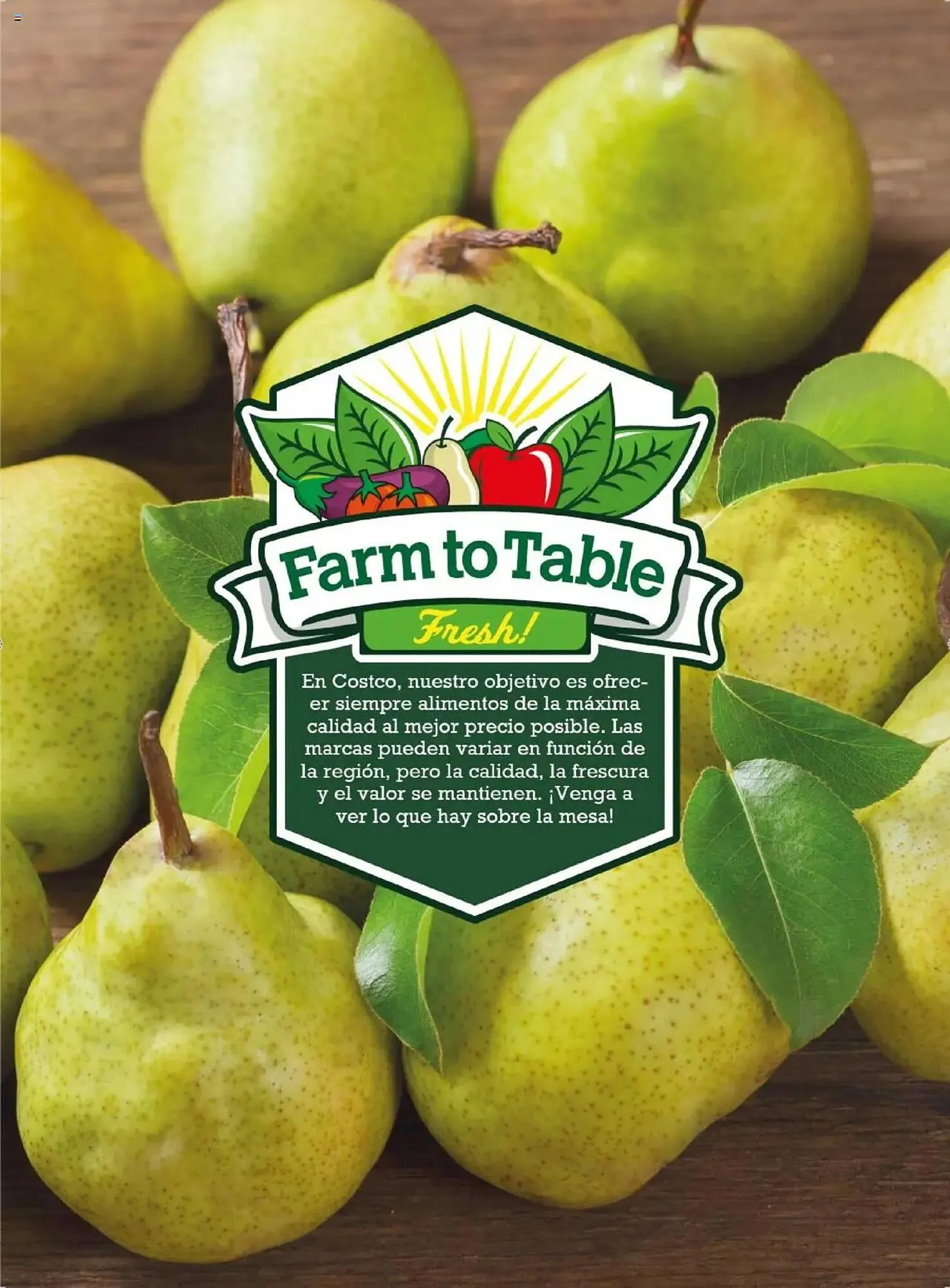 Catálogo de Folleto Costco 8 de abril al 31 de julio 2025 - Página 75