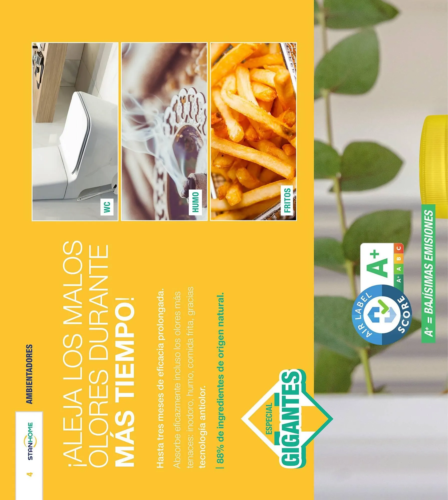 Catálogo de Folleto Stanhome 22 de abril al 12 de mayo 2024 - Página 4