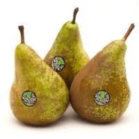 Pera Conferencia D.O. Rincón de Soto, al peso, compra mínima 1,05 kg / 6 uds