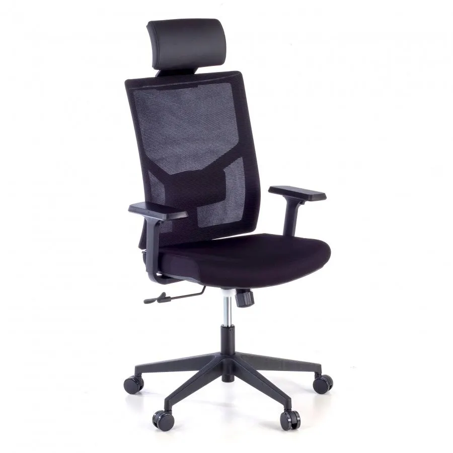 Silla de Oficina Ergonómica Verdi con reposacabezas, brazos ajustables - Negro