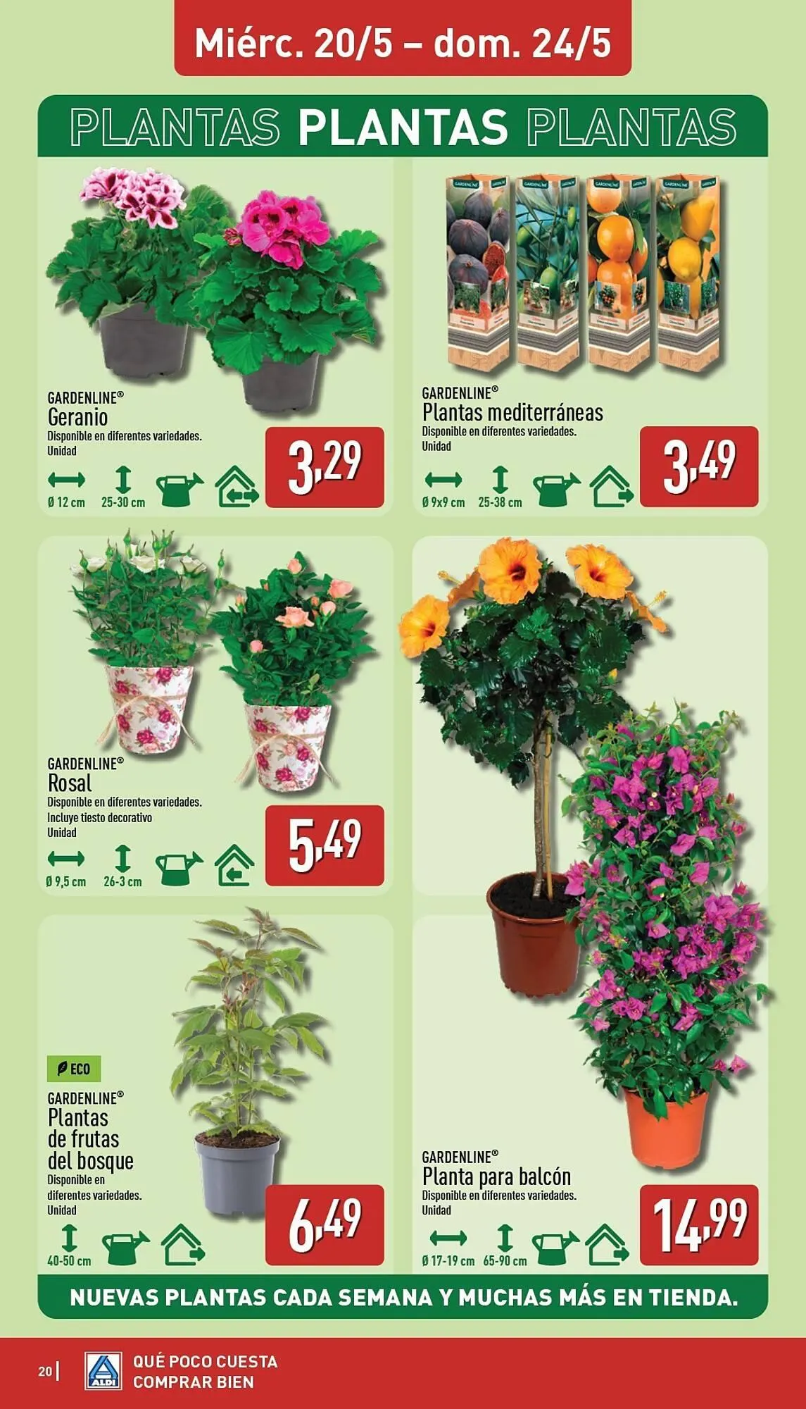 Catálogo de Folleto ALDI 18 de mayo al 24 de mayo 2026 - Página 20
