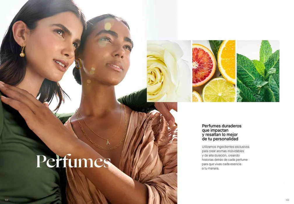 Catálogo de Expertos en el cuidado de la piel. 29 de agosto al 31 de diciembre 2024 - Página 52