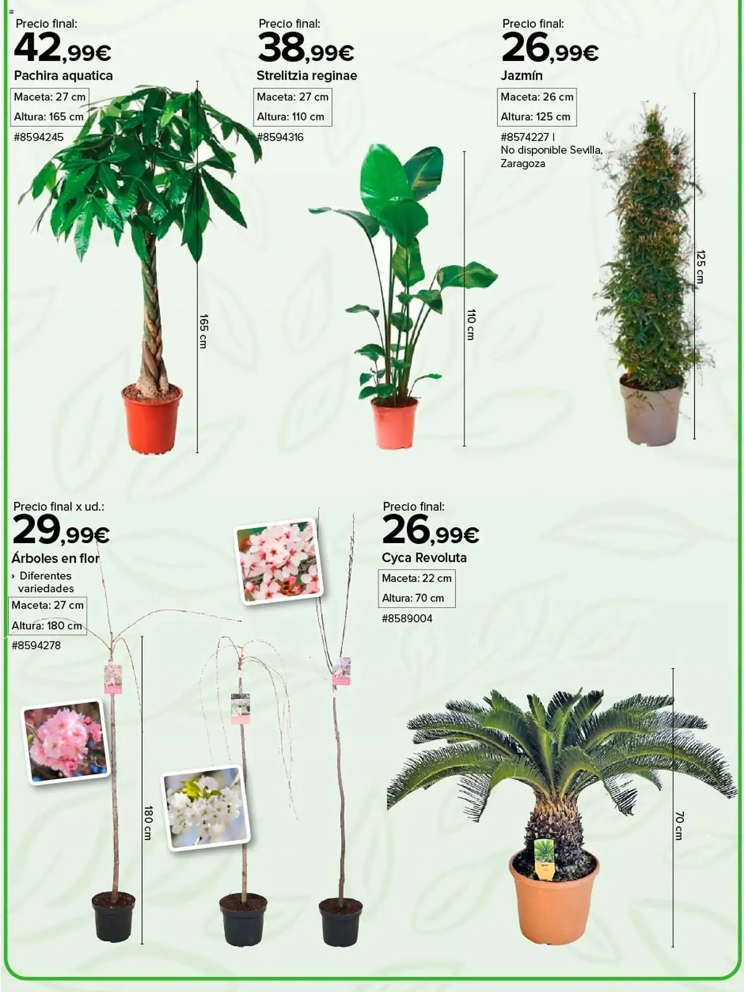 Catálogo de Catálogo Costco 4 de marzo al 8 de marzo 2026 - Página 3