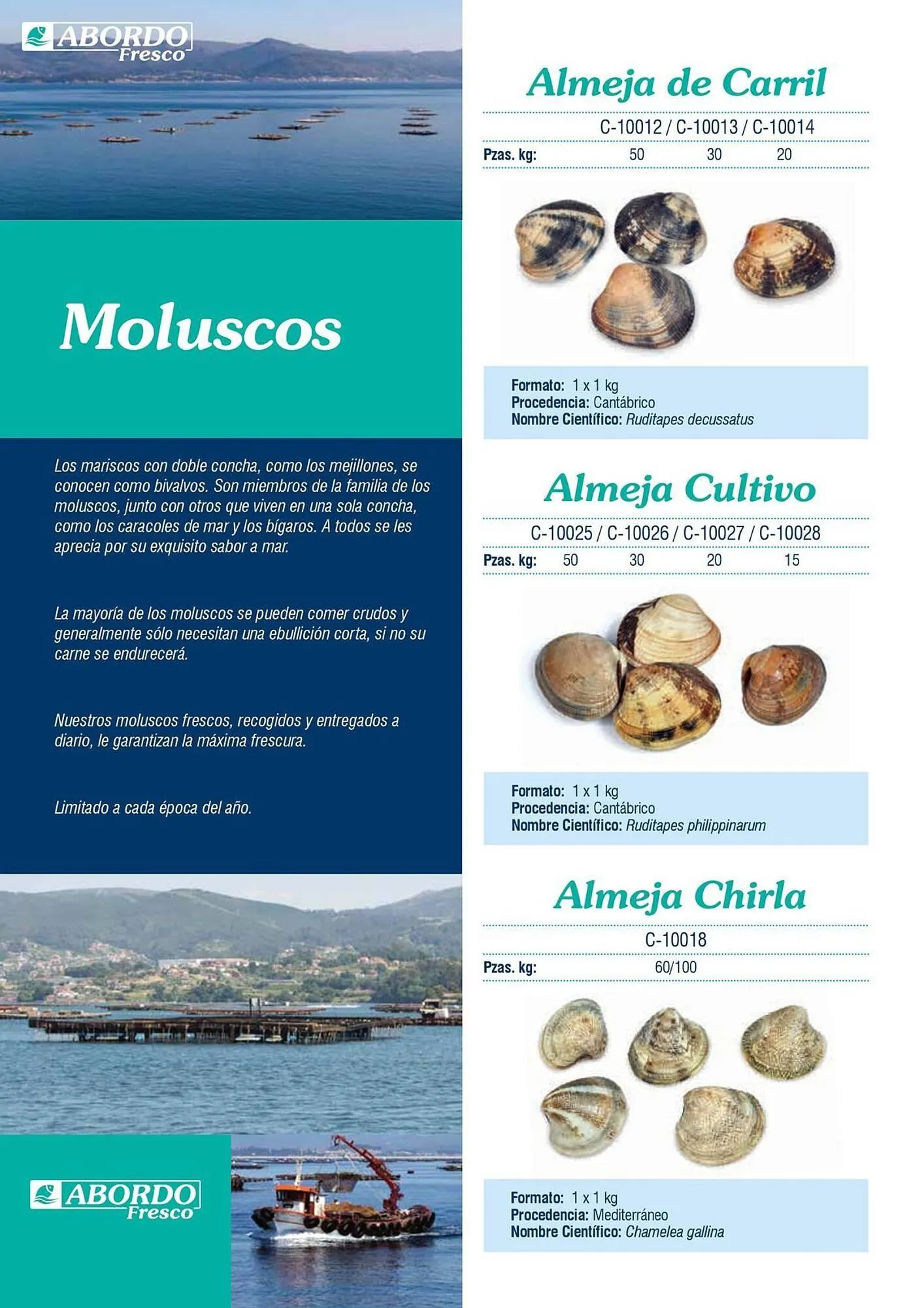 Catálogo de Folleto Abordo 5 de marzo al 30 de junio 2026 - Página 26