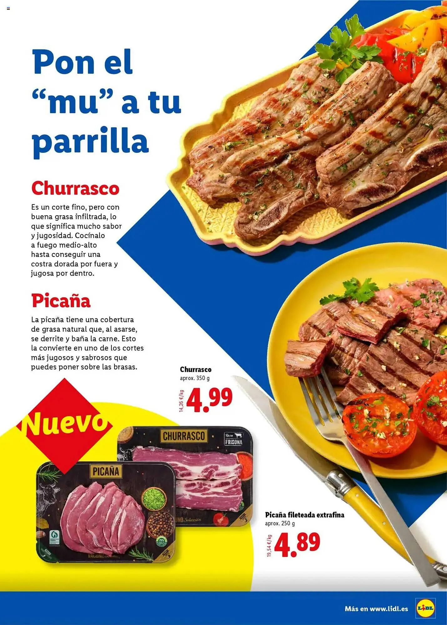 Catálogo de Folleto Lidl 23 de junio al 31 de agosto 2025 - Página 3