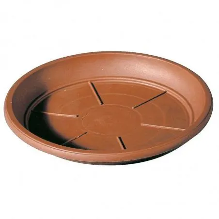 PLATO DAY R TERRACOTA