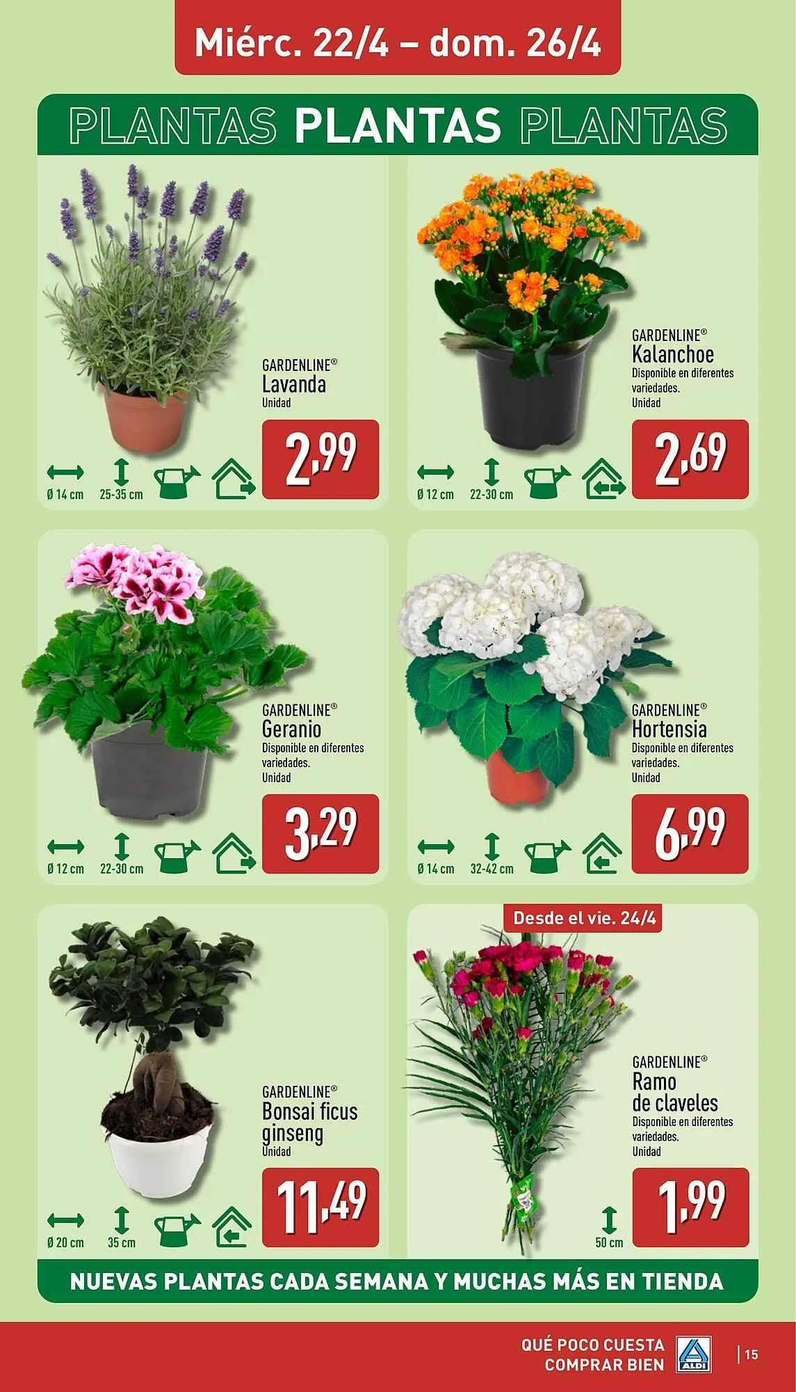 Catálogo de Folleto ALDI 20 de abril al 26 de abril 2026 - Página 15