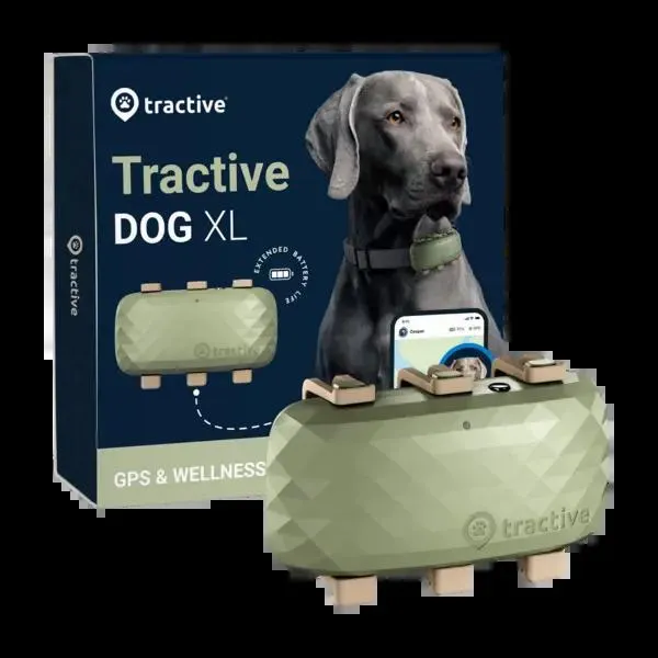 Tractive Dog XL koiran GPS-paikannin, vihreä