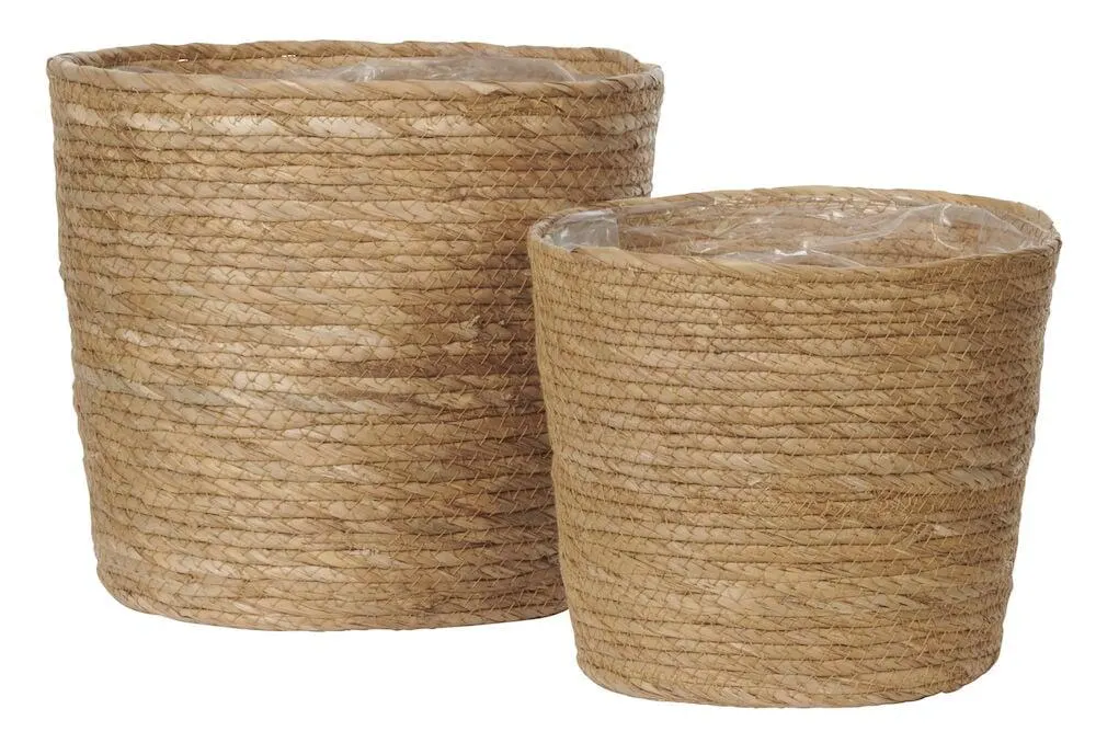 Kukkaruukkusetti Lagos