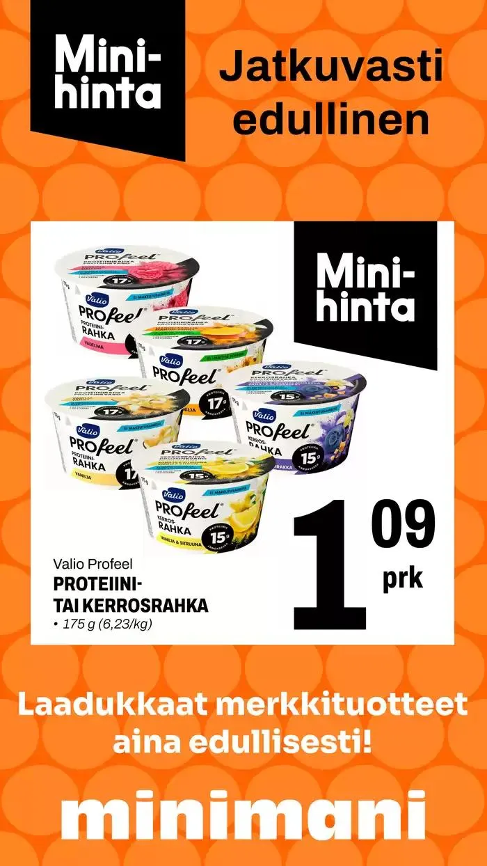 Minimani Yhtiöt Oy - 1