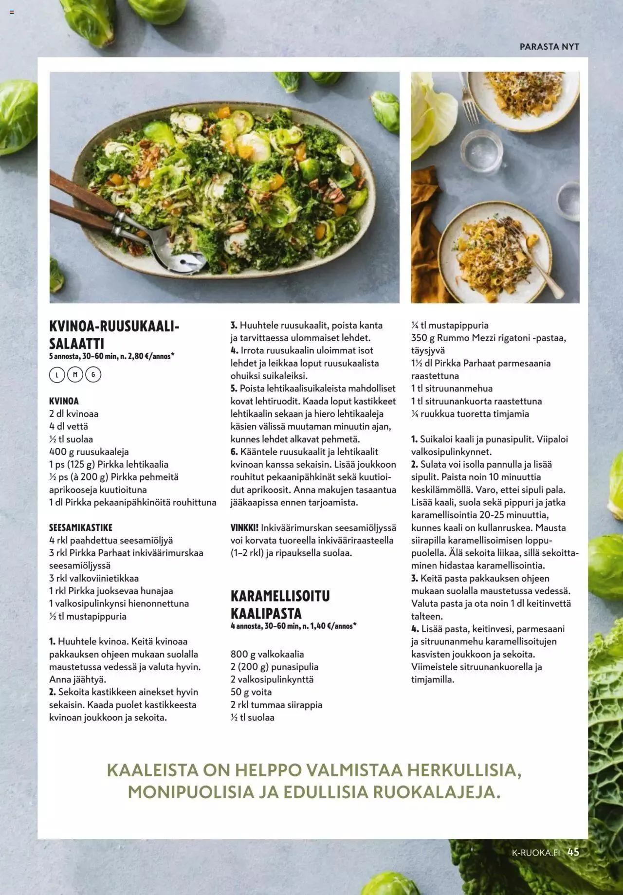 K-Market tarjoukset K-Ruoka 9/2023 voimassa alkaen 30. elokuuta - 3. lokakuuta 2023 - Tarjouslehti sivu 45