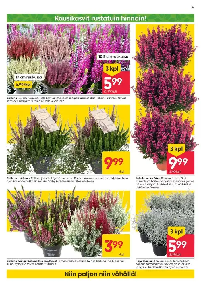 Rusta tarjoukset voimassa alkaen 30. syyskuuta - 14. lokakuuta 2024 - Tarjouslehti sivu 17