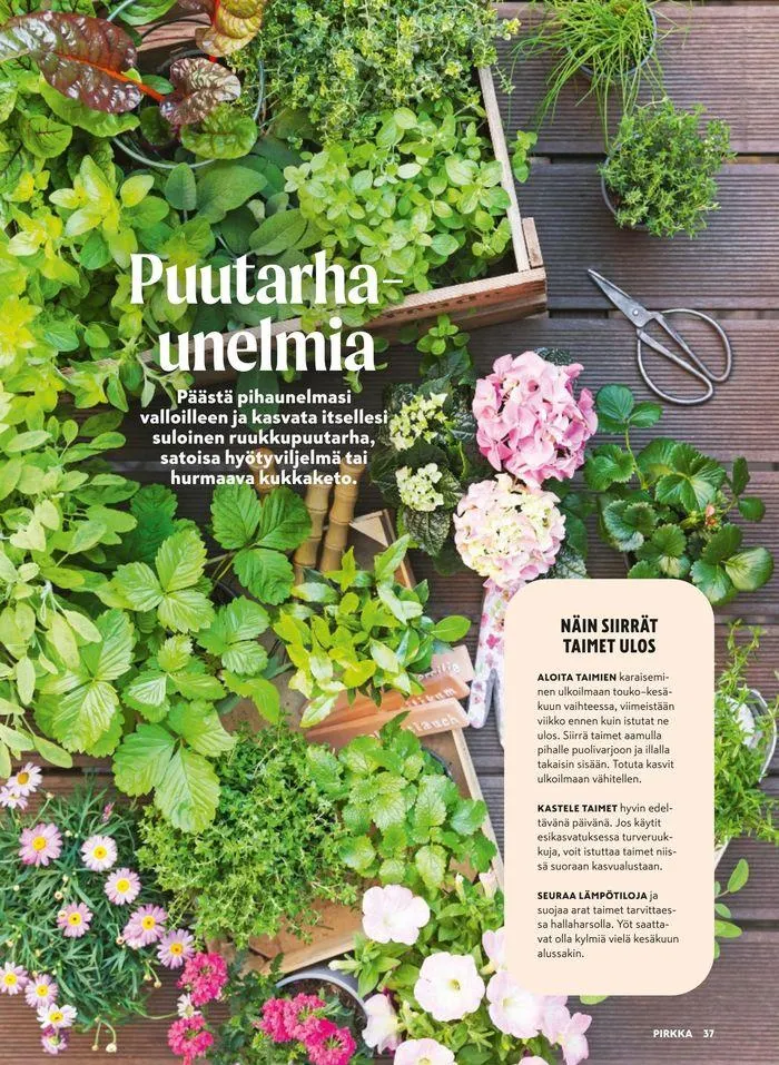 Pirkka 5/2024 voimassa alkaen 24. huhtikuuta - 31. toukokuuta 2024 - Tarjouslehti sivu 38