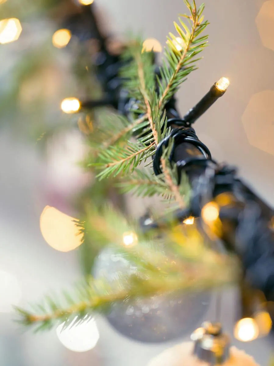 LED Valoketju, musta johto, ulos / sisälle, Northlight