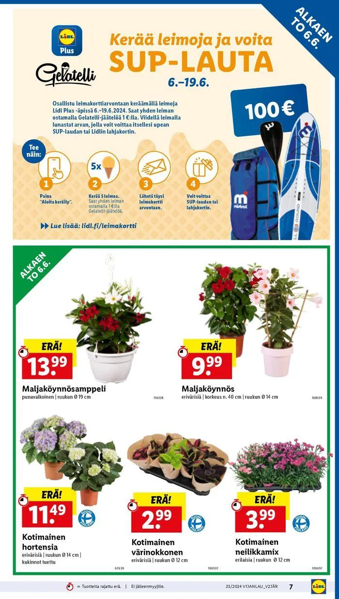 21% voimassa alkaen 6. kesäkuuta - 12. kesäkuuta 2024 - Tarjouslehti sivu 9