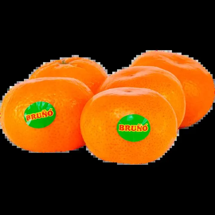 Bruno Klementiini Espanja