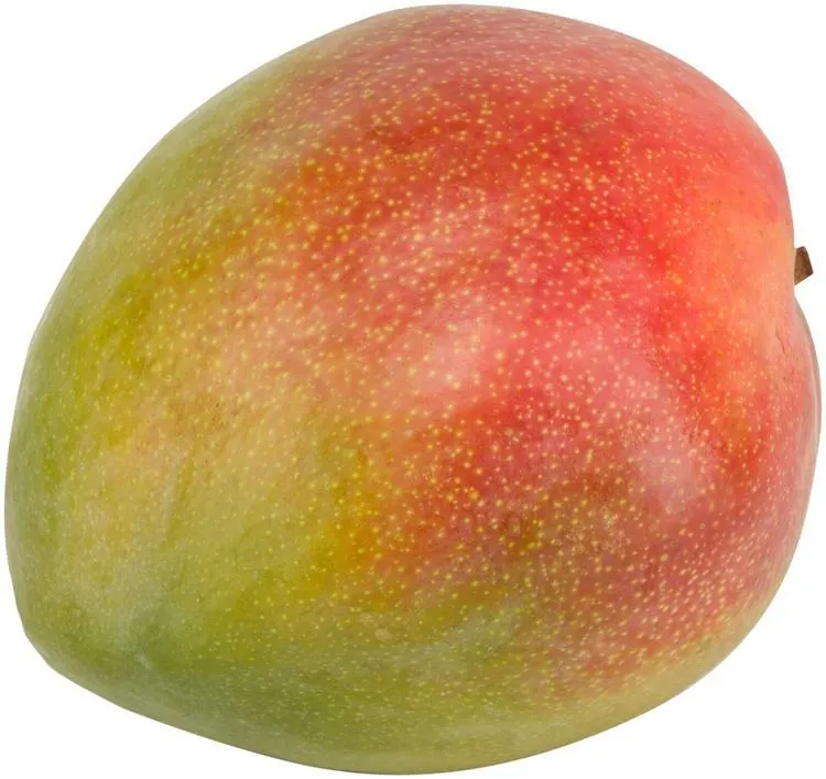 Mango keitt/kent