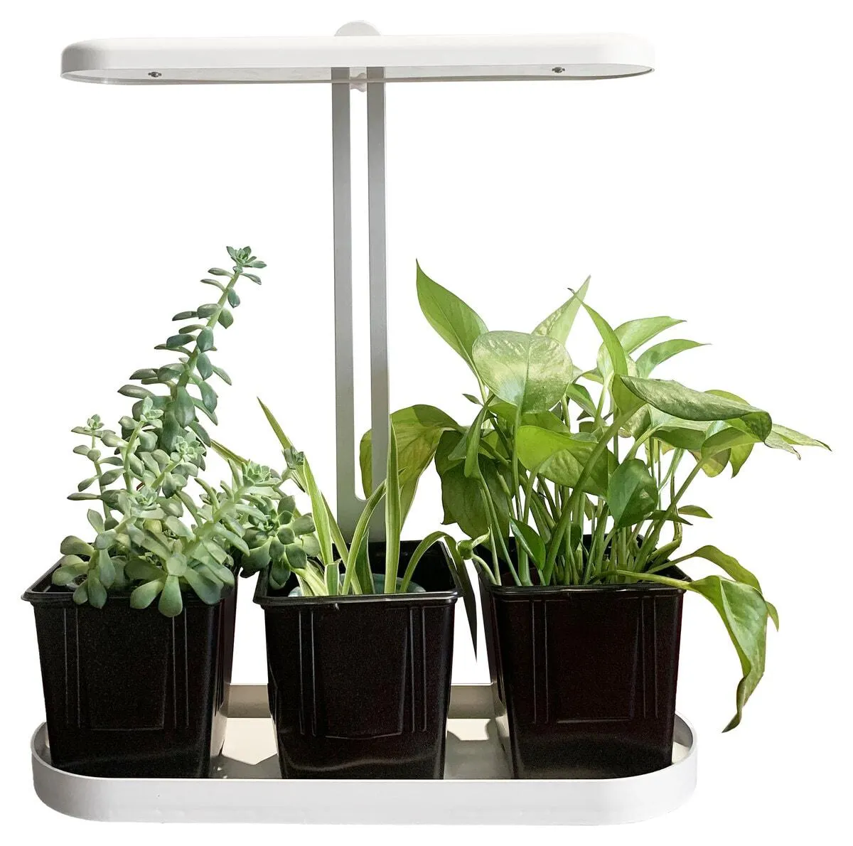 Kasvihuone sisälle, himmennettävä LED-valo, valkoinen