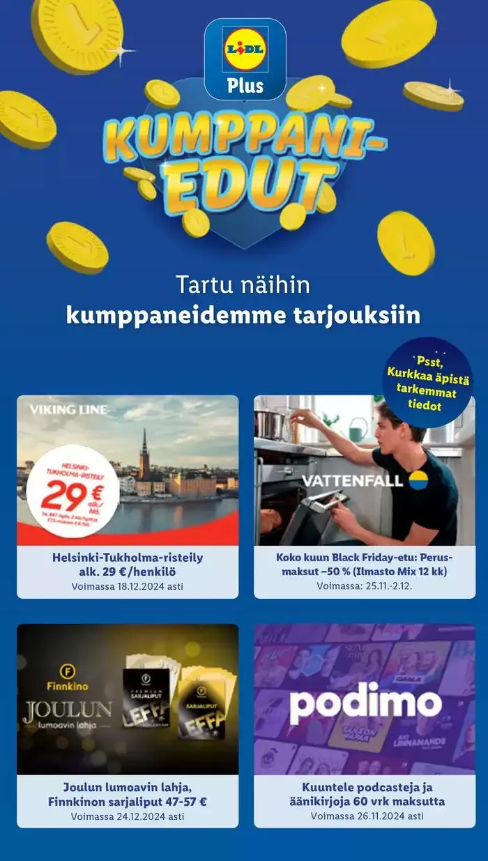 Eksklusiivisia diilejä asiakkaillemme voimassa alkaen 25. marraskuuta - 3. joulukuuta 2024 - Tarjouslehti sivu 37