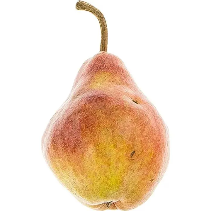 Max Red Bartlett päärynä