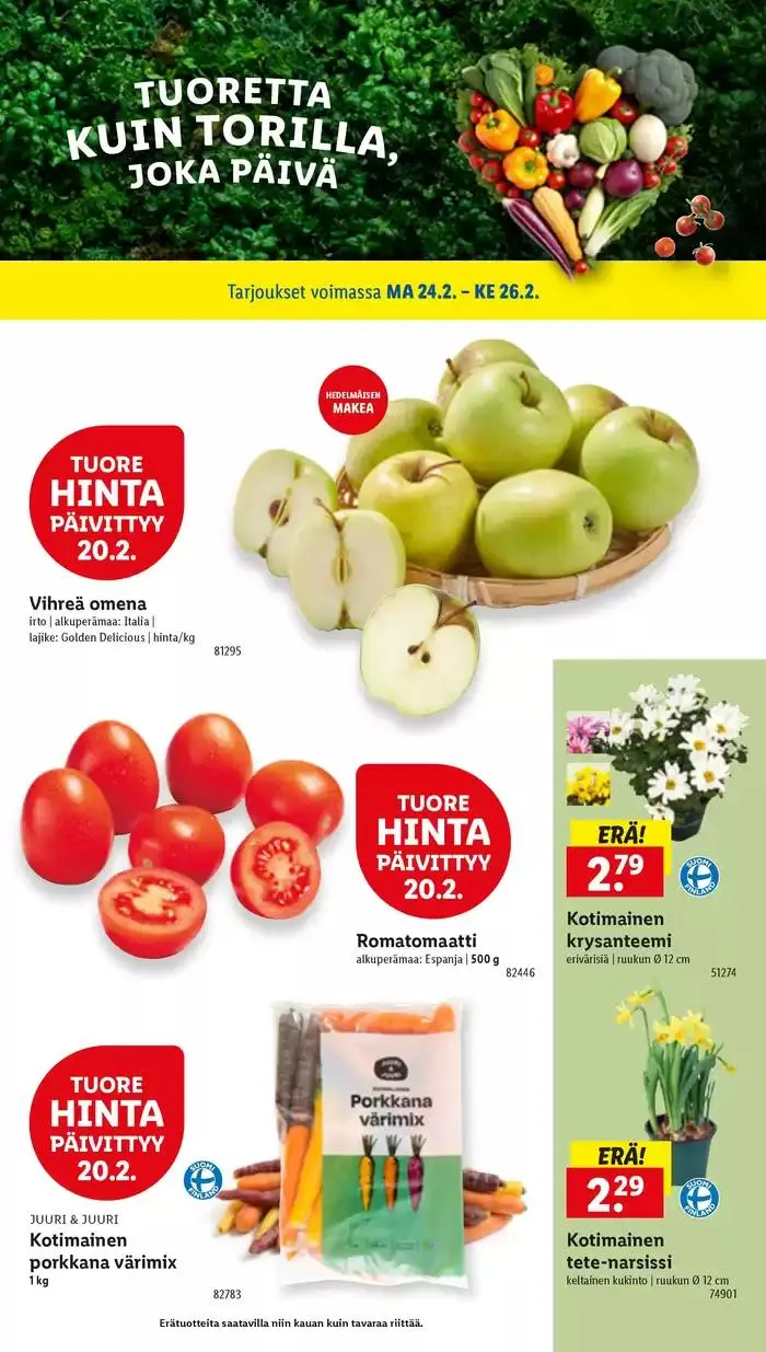 Huippudiilit ja alennukset voimassa alkaen 17. helmikuuta - 26. helmikuuta 2025 - Tarjouslehti sivu 23