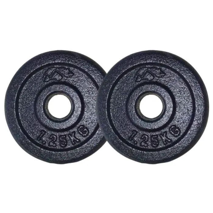 Levypaino 2 x 1,25 kg