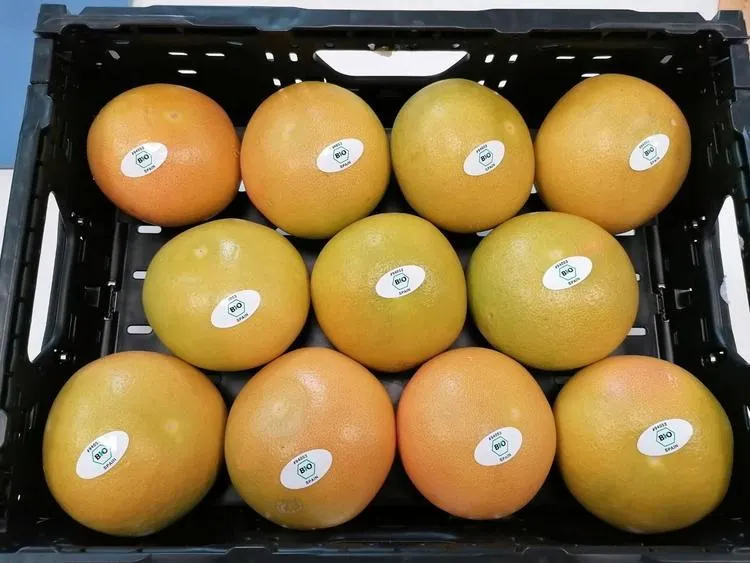 Coop Verigreippi luomu