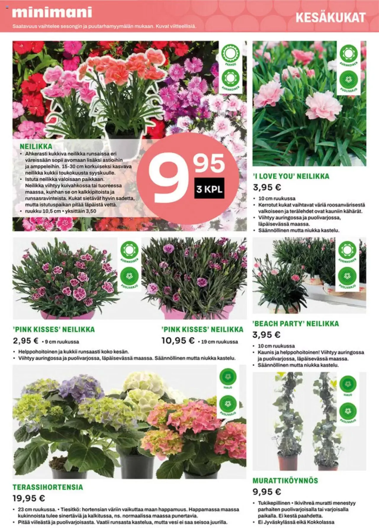 Minimani tarjoukset voimassa alkaen 5. kesäkuuta - 31. joulukuuta 2023 - Tarjouslehti sivu 3