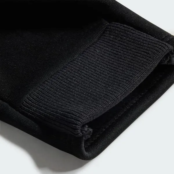 Terrex GORE-TEX Windstopper Gloves