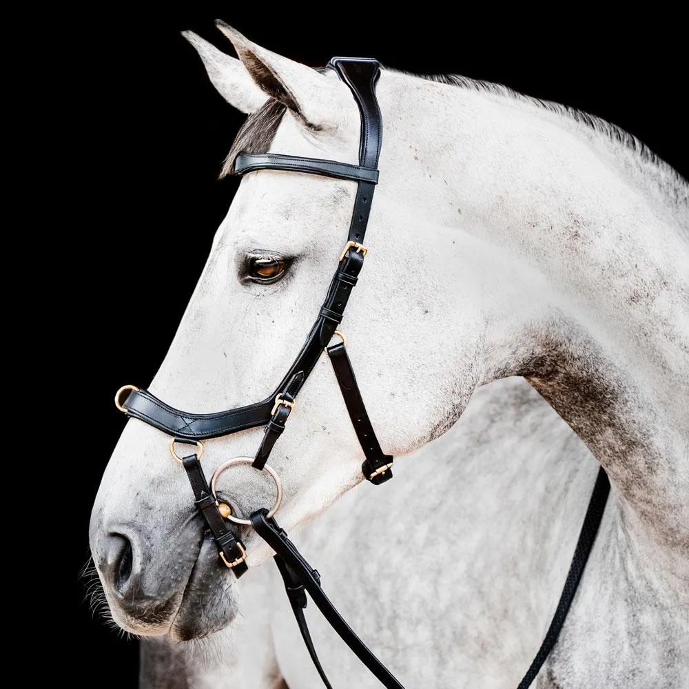 Suitset Micklem Multibridle Horseware®
