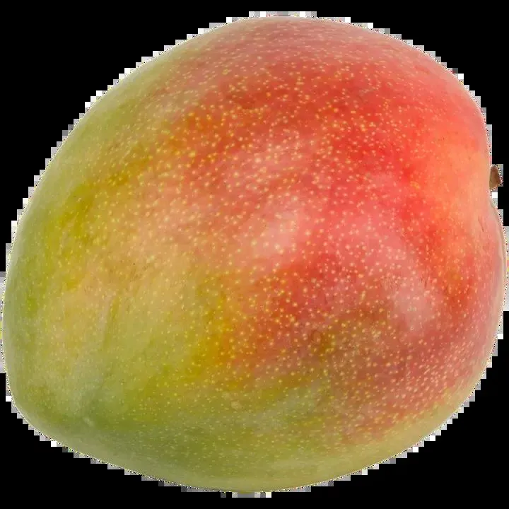 Mango keitt/kent/osteen