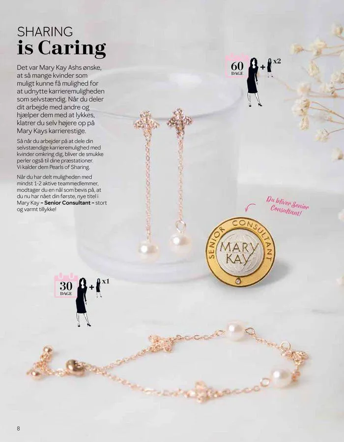 Your Stairway To Success voimassa alkaen 1. maaliskuuta - 31. joulukuuta 2024 - Tarjouslehti sivu 46