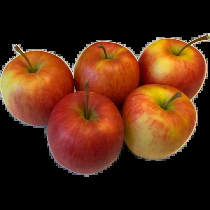 Rahkosen omena, Rubin