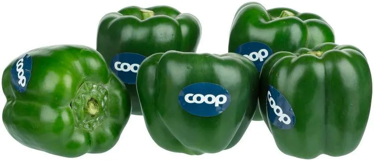 COOP Paprika vihreä pakattu