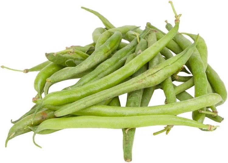 Rannikon Puutarhan pensaspapu vihreä Halikon jokilaaksosta n. 100 g