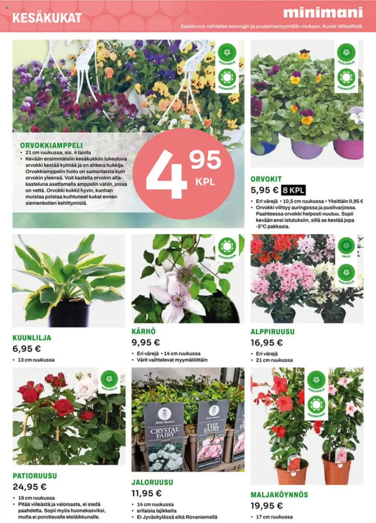 Minimani tarjoukset voimassa alkaen 5. kesäkuuta - 31. joulukuuta 2023 - Tarjouslehti sivu 4