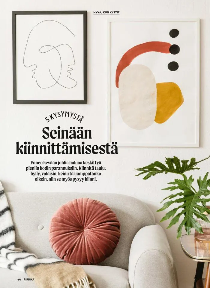 Pirkka 5/2024 voimassa alkaen 24. huhtikuuta - 31. toukokuuta 2024 - Tarjouslehti sivu 46