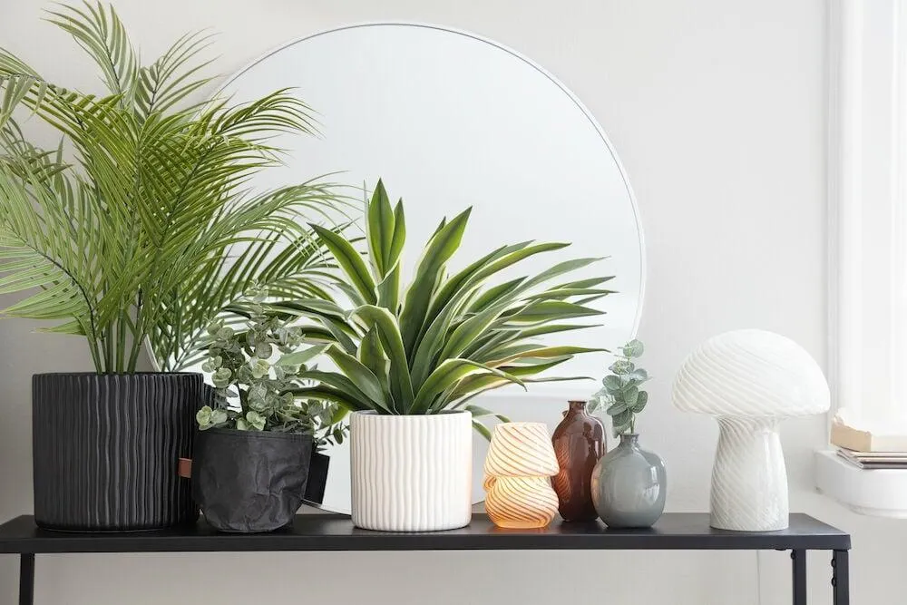 Ruukkukasvi Kultapalmu