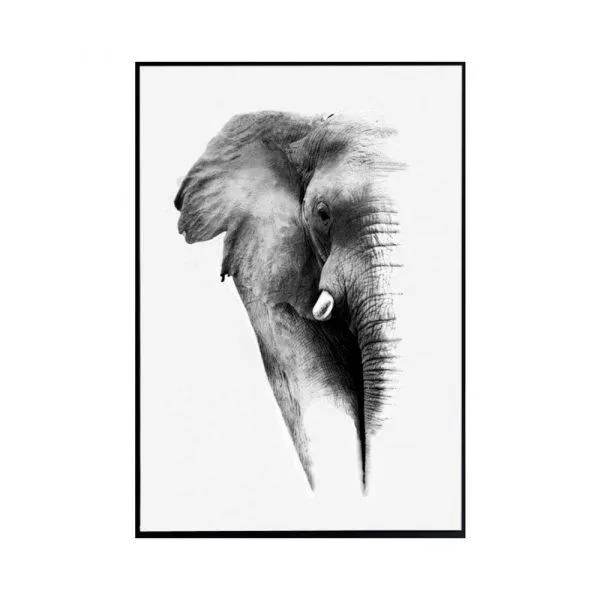 JULISTE 30X40 ELEFANTTI (5.95)